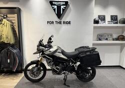 Triumph Tiger 900 Rally Pro (2020 - 23) usata