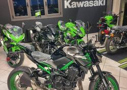 Kawasaki Z 900 A2 (2021 - 24) usata