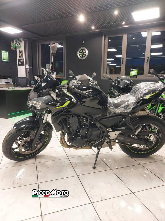 Kawasaki Z 650 (2021 - 24) (4)