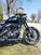 Harley-Davidson 1200 Roadster (2016 - 2017) - XL 1200R (7)