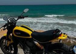 Ducati Scrambler 800 Icon (2017 - 20) usata