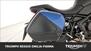 Triumph Tiger Sport 660 (2022 - 24) (16)