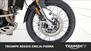 Triumph Tiger 900 Rally Pro (2020 - 23) (18)