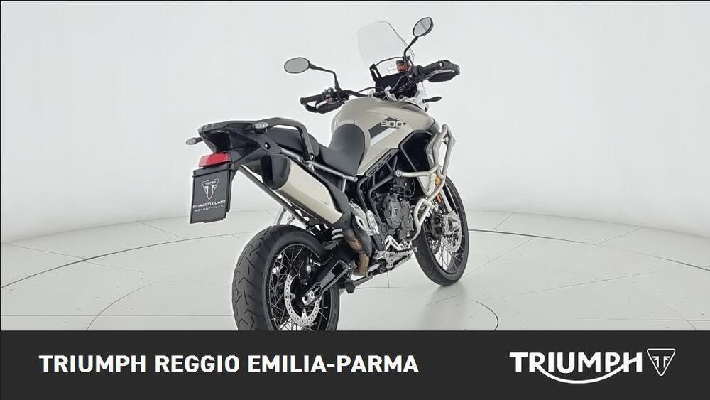 Triumph Tiger 900 Rally Pro (2020 - 23) (3)