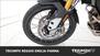 Triumph Tiger 900 Rally Pro (2020 - 23) (20)