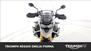 Triumph Tiger 900 Rally Pro (2020 - 23) (25)