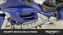 Honda GL 1800 Gold Wing (2012 - 17) (14)