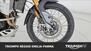 Triumph Tiger 900 Rally Pro (2020 - 23) (22)