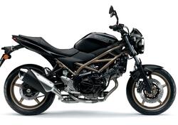 Suzuki SV650 (2021 - 25) usata