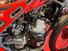 Betamotor Evo 125 2T (2023 - 24) (7)