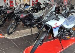 Honda Transalp XL750 (2023 - 24) nuova