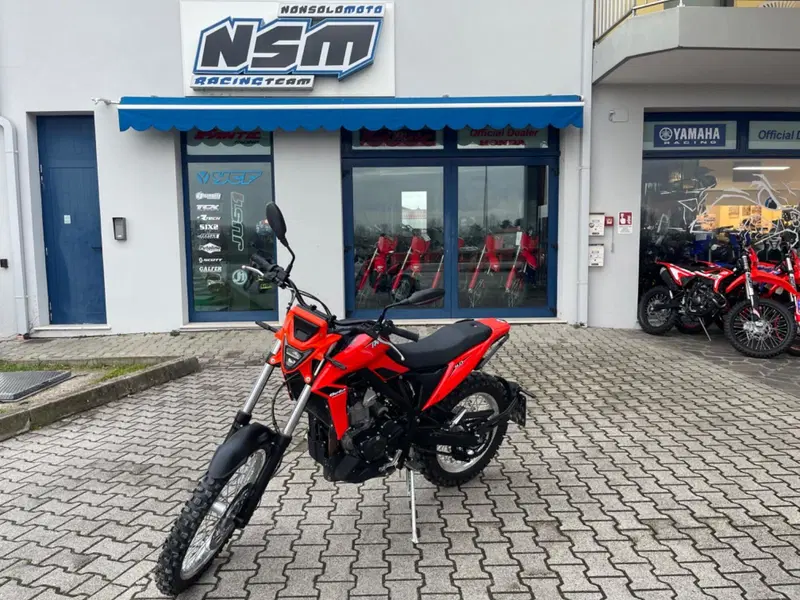 Betamotor Alp 4.0 (2024 - 26)