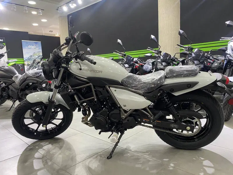 Kawasaki Eliminator 500 (2024 - 26) (3)
