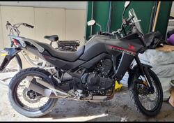 Honda Transalp XL750 (2023 - 24) usata