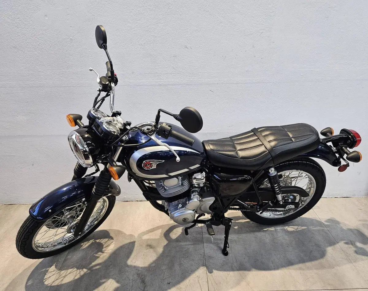 Kawasaki W 230 (2025 - 26) (2)