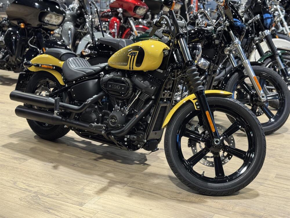 Harley-Davidson Street Bob 114 (2021 - 24) (2)