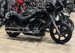 Harley-Davidson Softail Standard (2021 - 25) usata