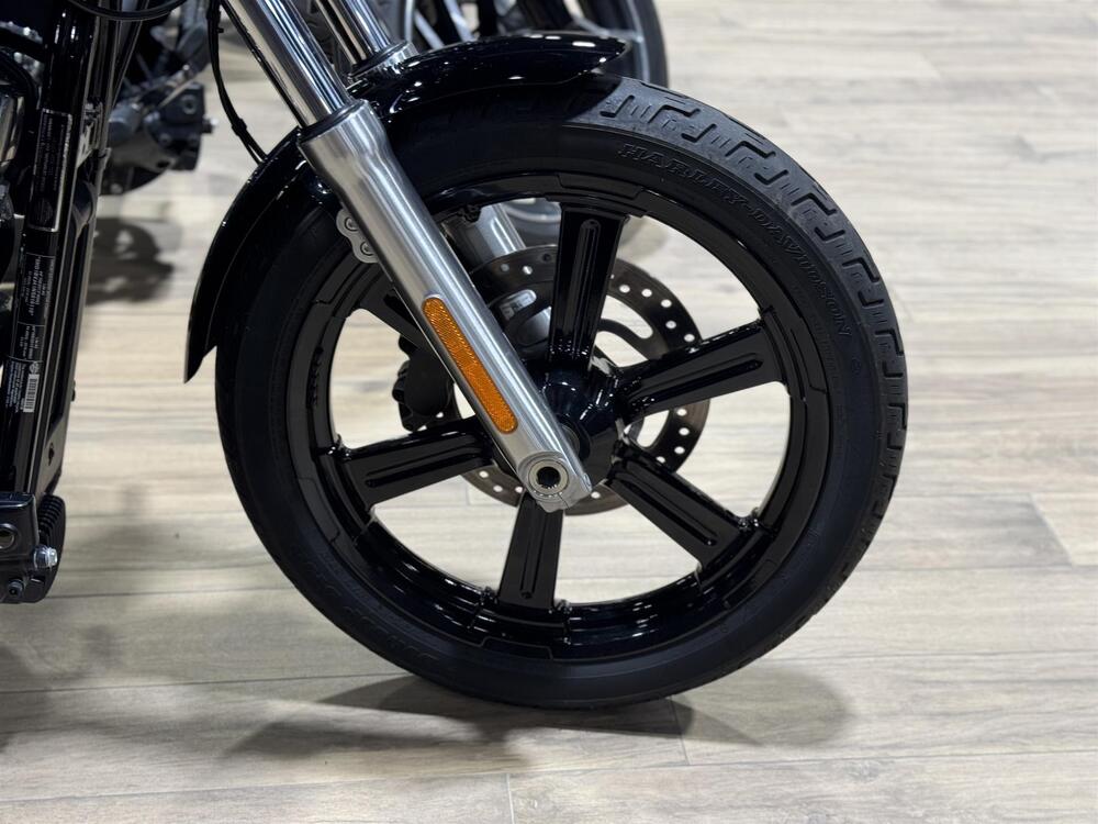 Harley-Davidson Softail Standard (2021 - 25) (5)