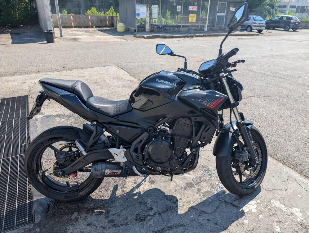 Kawasaki Z 650 (2021 - 24)