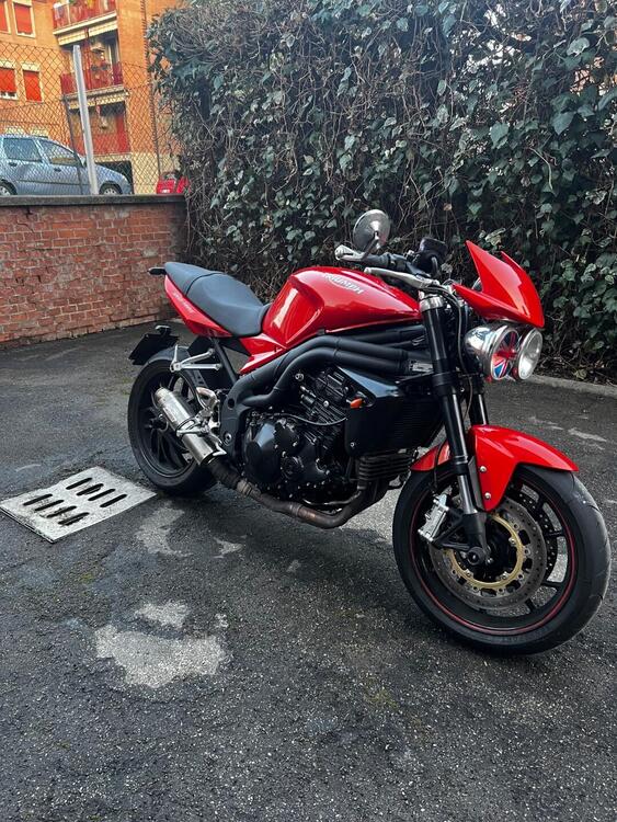 Triumph Speed Triple 1050 (2005 - 11) (4)