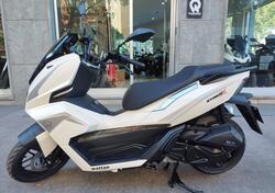 Wottan Motor Storm-X 150 (2024 - 25) nuova