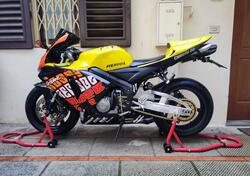 Honda CBR 600 RR (2005 - 06) usata