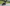 BMW R nineT Scrambler: primo test