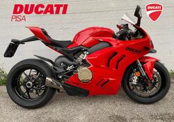 Ducati Panigale V4 (2022 - 24) usata