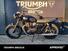 Triumph Bonneville T100 (2021 - 25) (9)