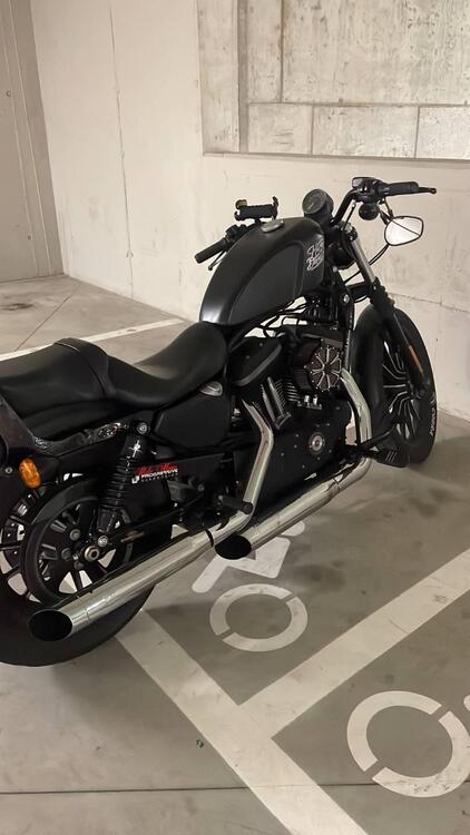 Harley-Davidson 883 Iron (2012 - 14) - XL 883N