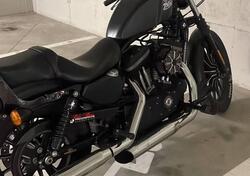 Harley-Davidson 883 Iron (2012 - 14) - XL 883N usata