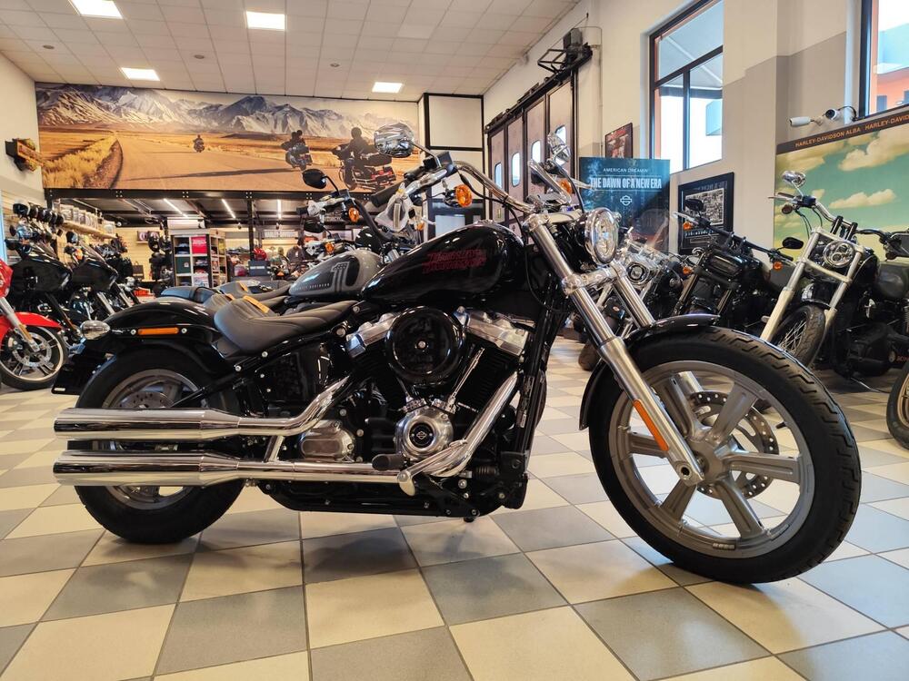 Harley-Davidson Softail Standard (2021 - 25)