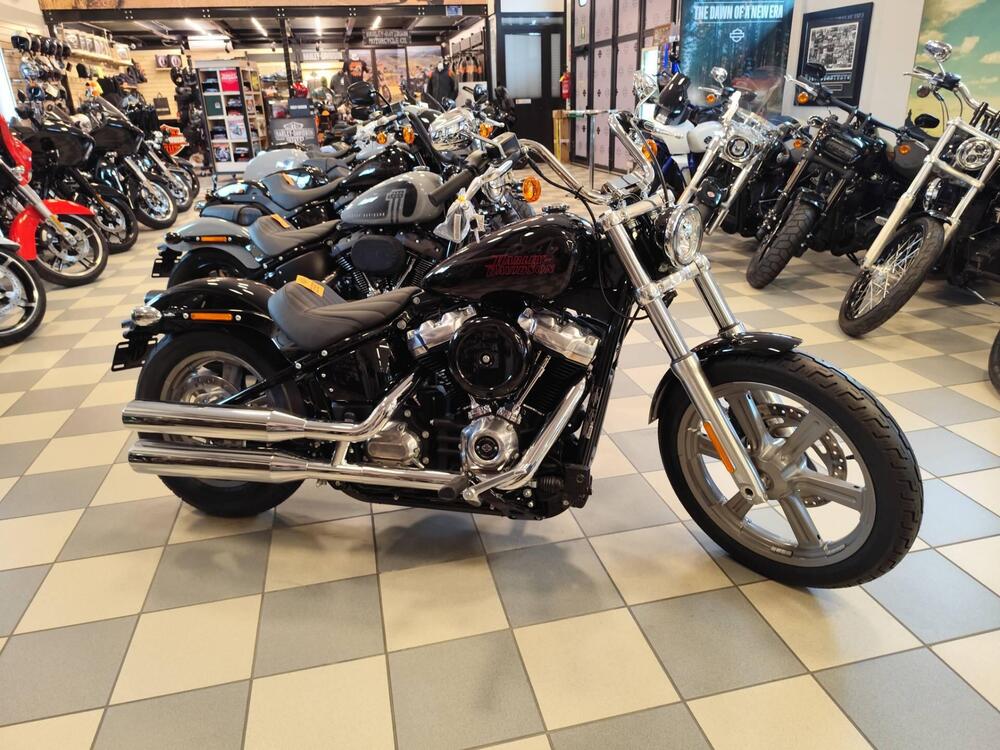 Harley-Davidson Softail Standard (2021 - 25) (2)