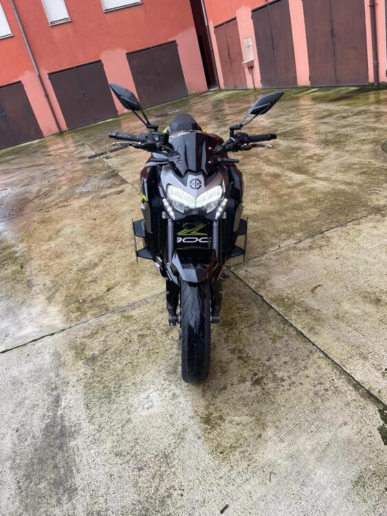 Kawasaki Z 900 (2020) (2)