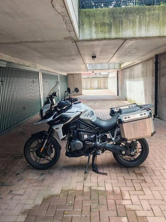 Triumph Tiger 1200 Alpine Edition (2020) (2)