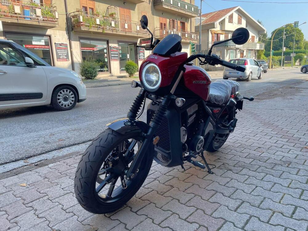 Moto Morini Calibro Custom (2024 - 25) (4)