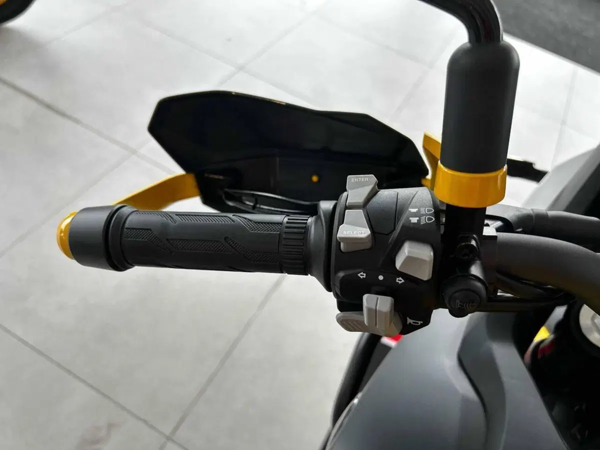 QJ Motor SVT 650 X (2024) (10)
