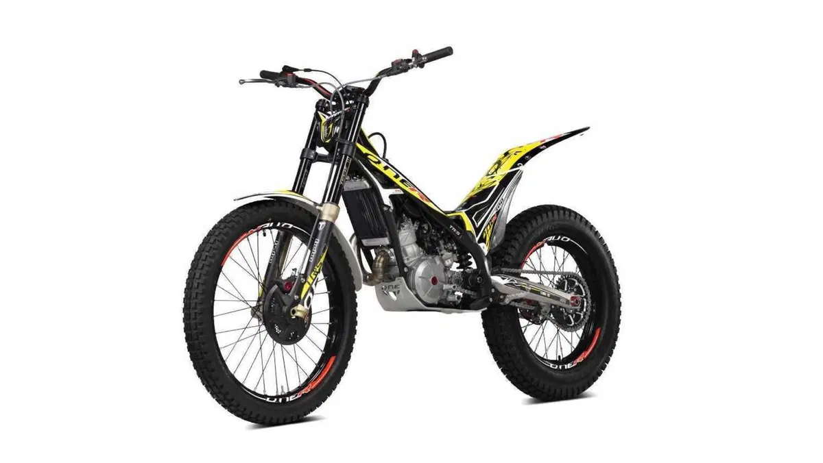 TRS Motorcycles One 300 One 300 R AE (2025) (6)