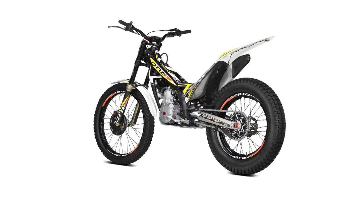 TRS Motorcycles One 300 One 300 R AE (2025) (4)