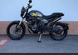 Voge Trofeo 525ACX Scrambler (2023 - 25) nuova