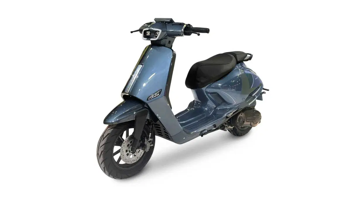 Velocifero Tennis 300 Tennis 300 (2025 - 26)