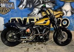 Harley-Davidson 1584 Cross Bones (2008 - 11) - FLSTSB usata