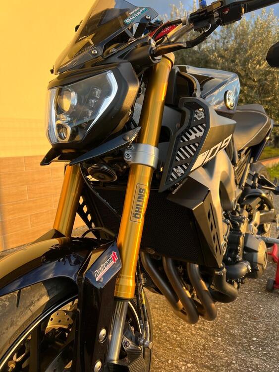 Yamaha MT-09 (2013 - 15) (5)