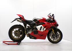 Ducati Panigale V4 R (2023 - 24) usata