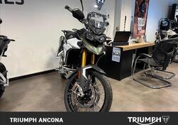 Triumph Tiger 900 Rally Pro (2020 - 23) usata