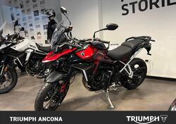 Triumph Tiger 900 GT Pro (2020 - 23) usata