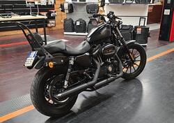 Harley-Davidson 883 Iron (2014 - 16) - XL 883N usata