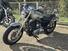 Harley-Davidson 1200 Custom (2007 - 13) - XL 1200C (7)