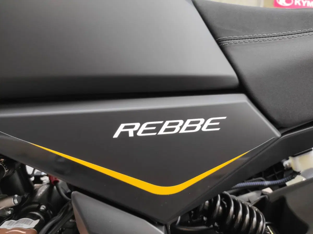 Wottan Motor Rebbe 125 (2023 - 26) (11)