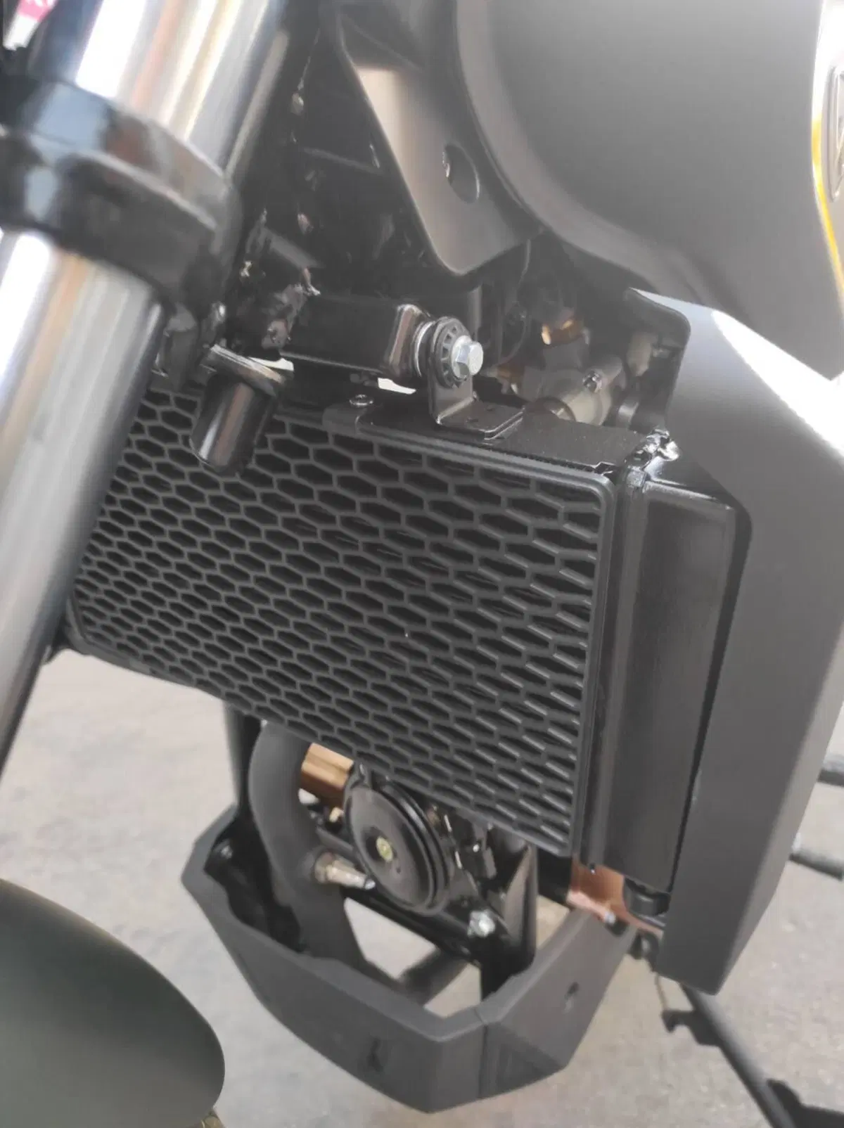 Wottan Motor Rebbe 125 (2023 - 26) (17)